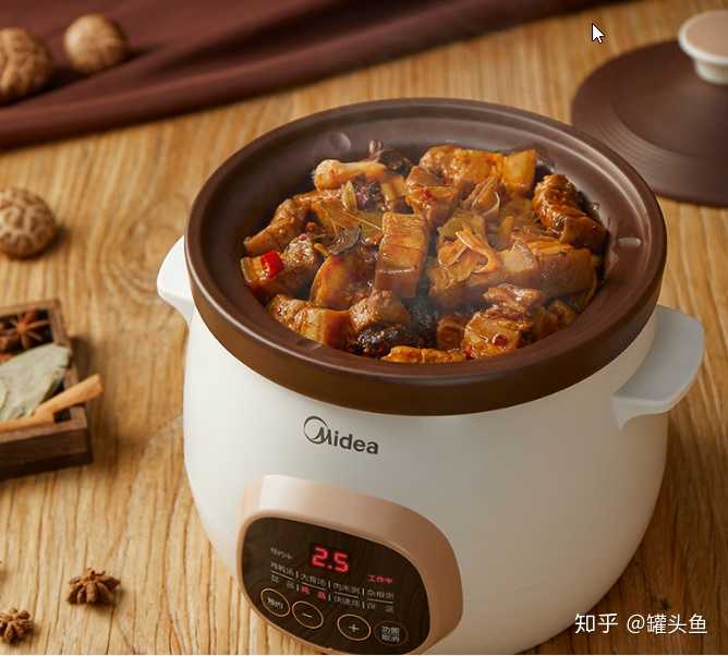 煲汤用什么电炖锅好 知乎 煲汤用什么电炖锅好 知乎