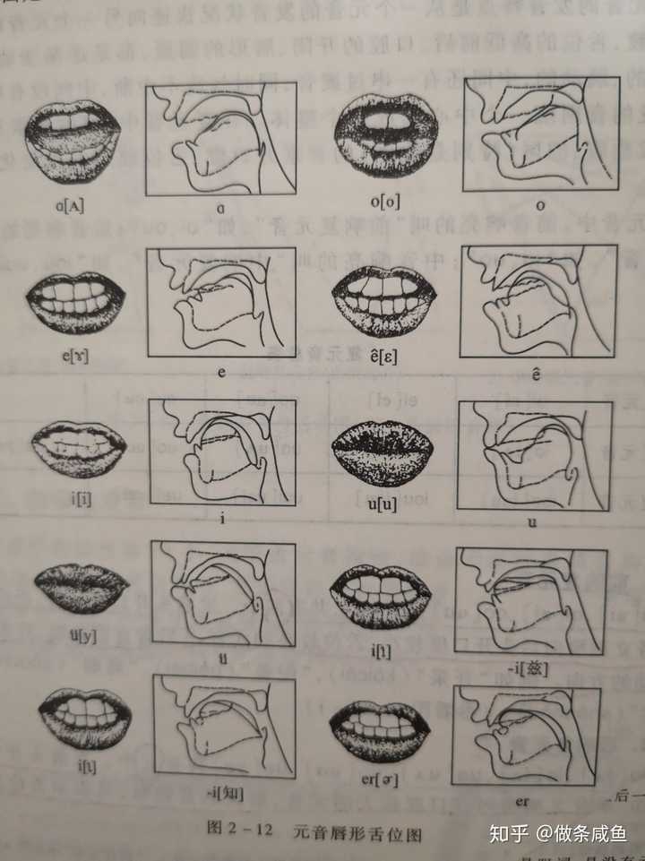 x发音图解舌位图图片