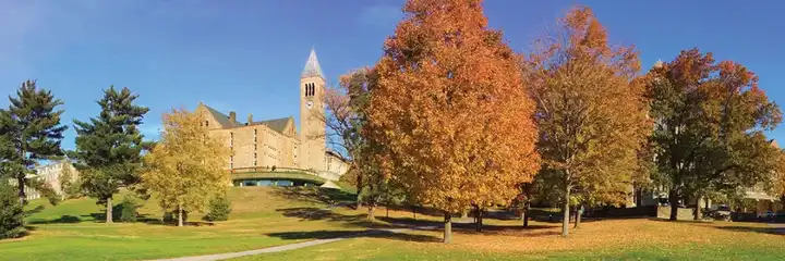 在康奈尔法学院读法学硕士 Llm 是一种怎样的体验 一里留学的回答 知乎