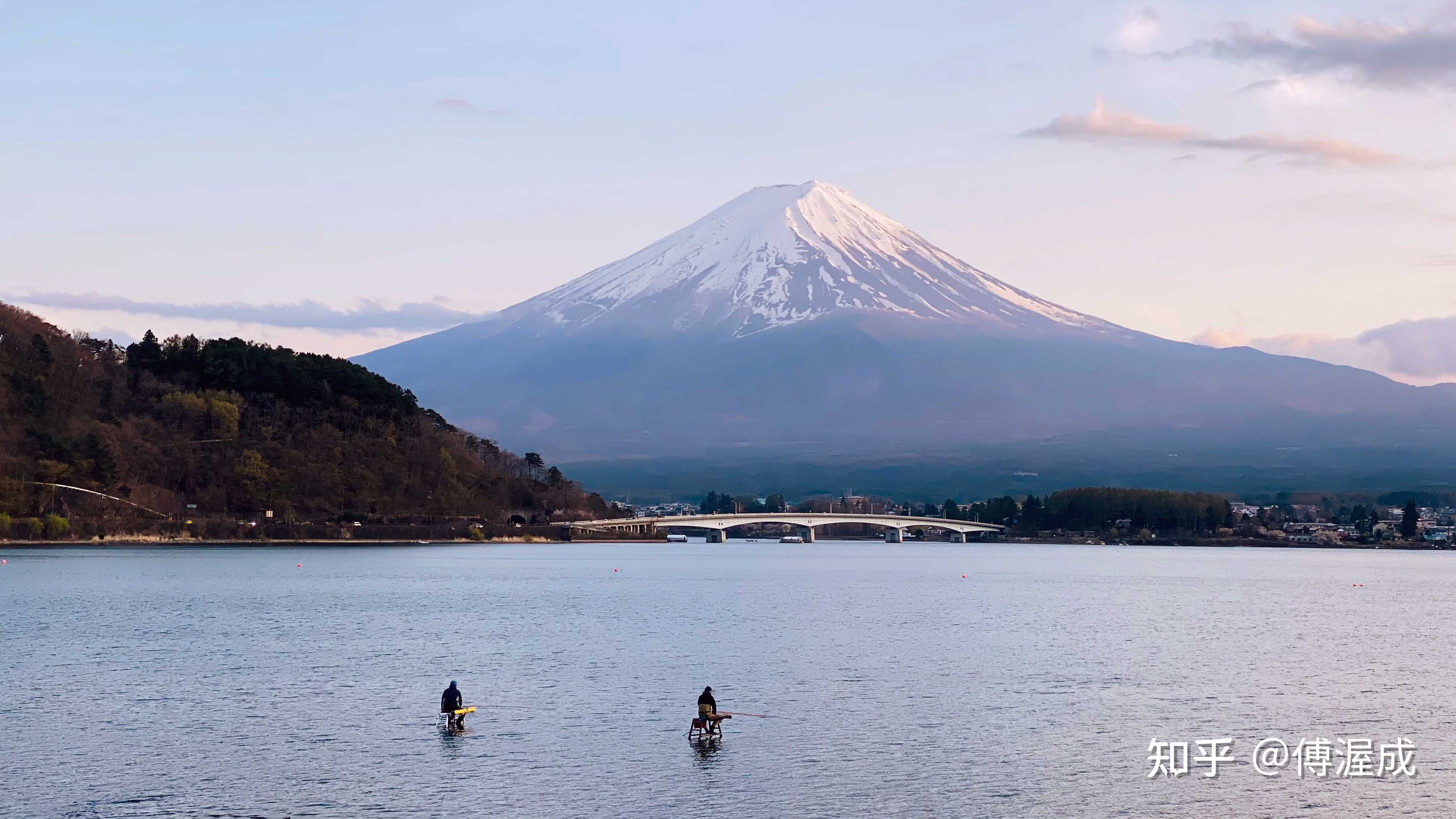 傅渥成 的想法: 今天拍的各種富士山和櫻花 - 知乎