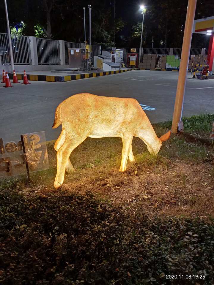 你怎样理解自己的生活质量