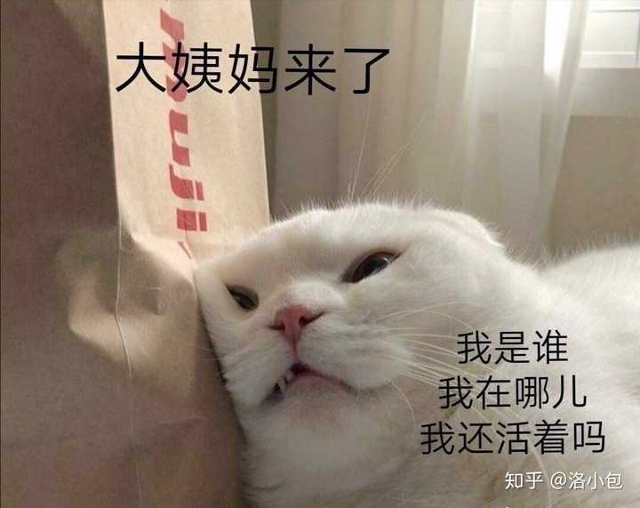 女朋友来月经了 男朋友该怎么办 知乎 女朋友来月经了 男朋友该怎么办 知乎