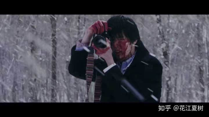 如何评价 三角草的春天 知乎 如何评价 三角草的春天 知乎