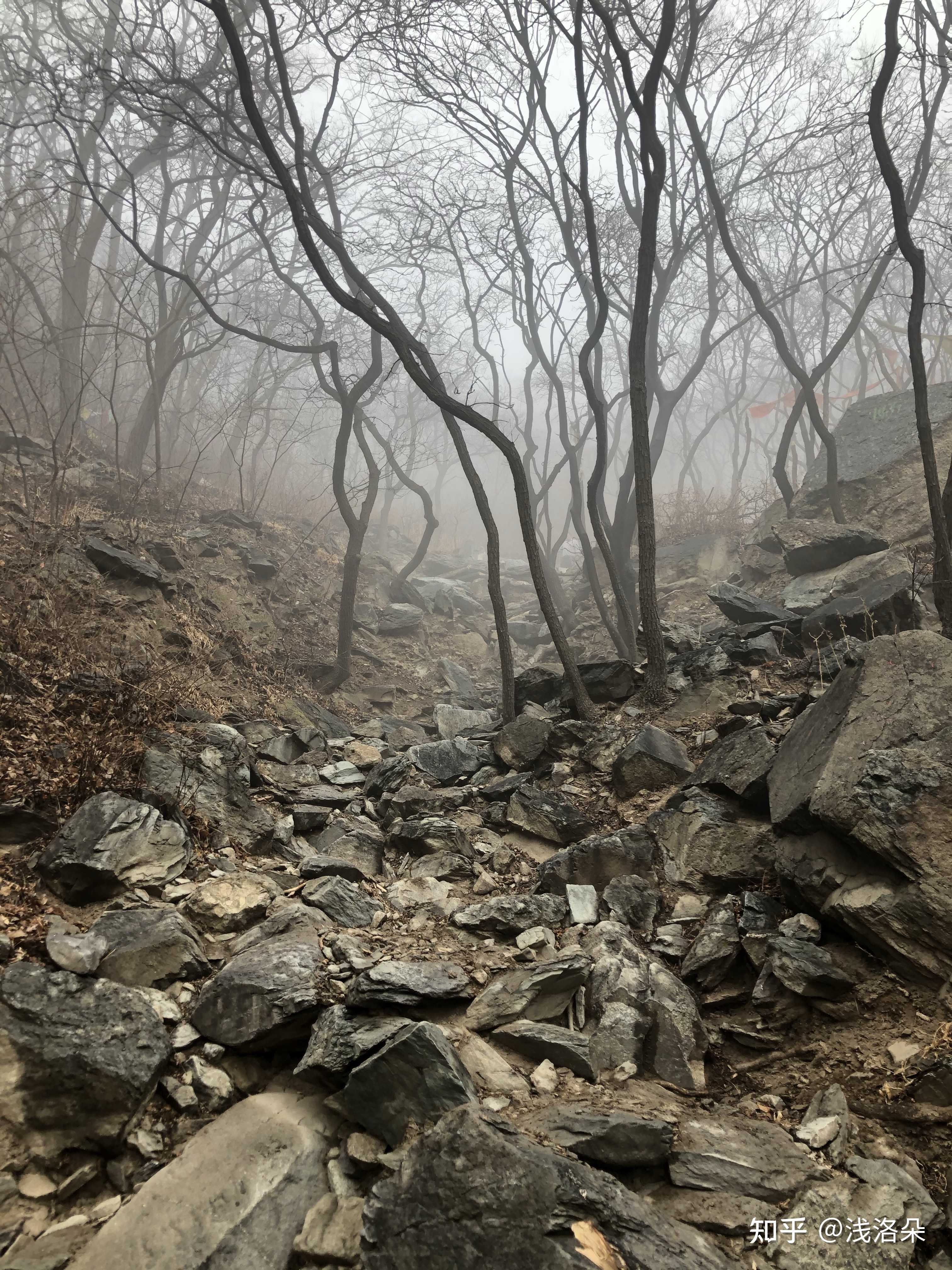 浅洛朵 的想法: "香山修仙小分队"修仙归来,爬野山 … - 知乎