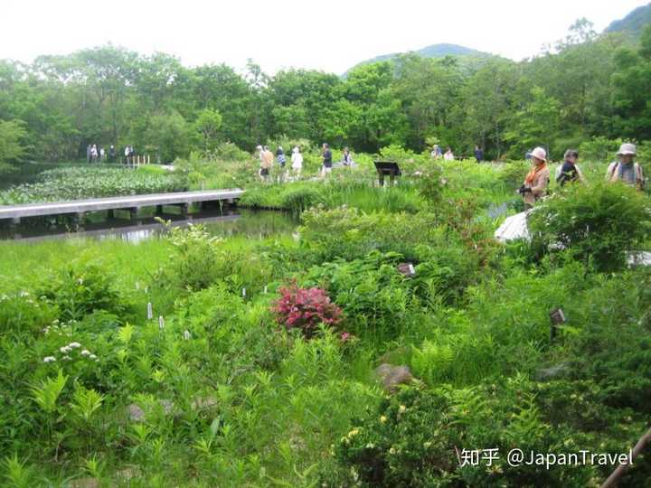 去日本如何计划一场完美的温泉旅行 知乎