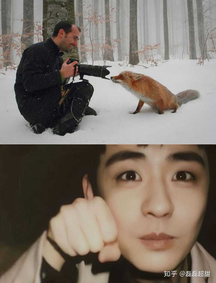 比如张云雷就很像小狐狸,王九龙很像大白萨摩 ?