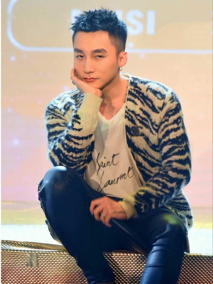 你怎么看待越南歌手son tung?