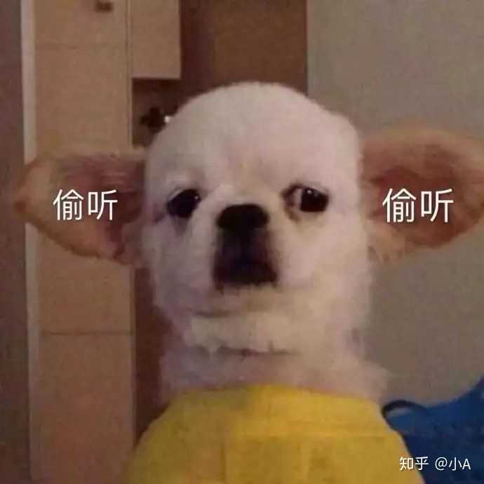 有哪些类似 ꙫ 动物的文字符号或颜文字 知乎 有哪些类似 ꙫ 动物的文字符号或颜文字 知乎