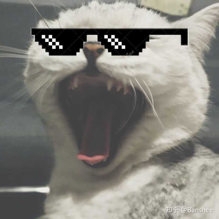 你们用过最好看的头像是什么?