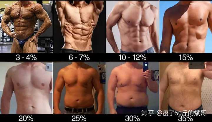 女性体脂23胖吗 Bmi 5 女生体脂率 5