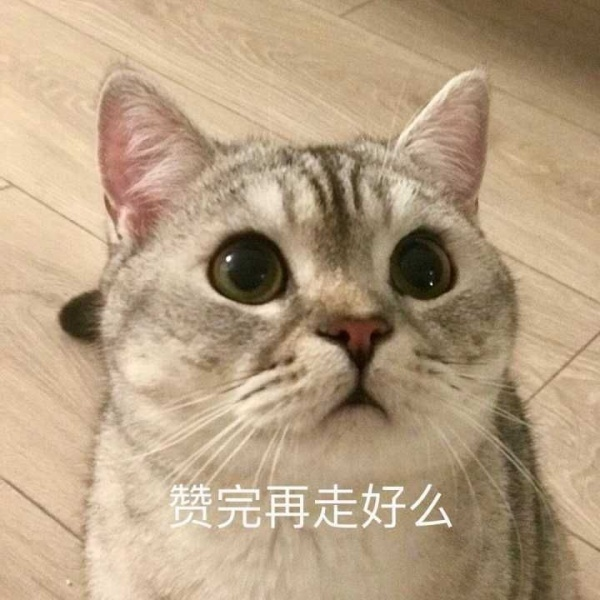 大狂乱鱼猫骇客