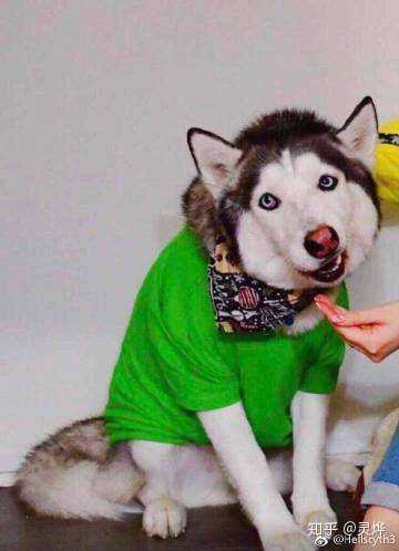 LOL中每个位置的质检员是谁?