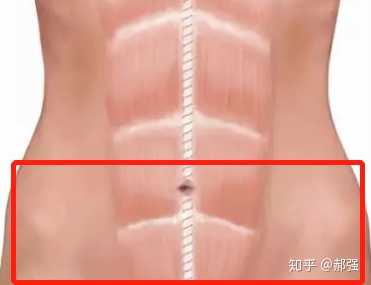 为什么有些女生明明已经很瘦 下腹还是会有不少赘肉 知乎 为什么有些女生明明已经很瘦 下腹还是会有不少赘肉 知乎