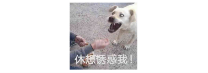 如果你穿越成修仙文里的炮灰女配 你会怎么做 知乎 如果你穿越成修仙文里的炮灰女配 你会怎么做 知乎