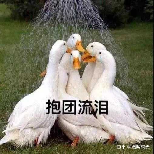 幹多少活都沒用的,有句話說得好,下雨天打孩子,閒著也是閒著