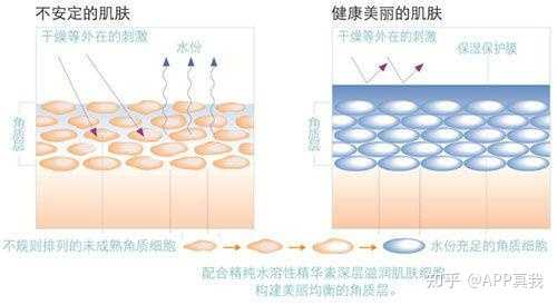 美肤水化妆品是正品吗_化妆水健康水_雪肌精化妆水和兰蔻粉水