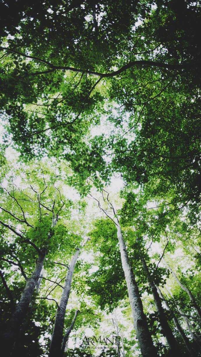 适合春天的好看的手机壁纸有哪些 知乎