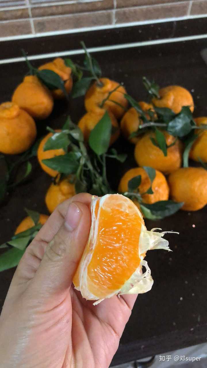 青见和春见比哪个好听点(青见和春见比哪个好听点儿)
