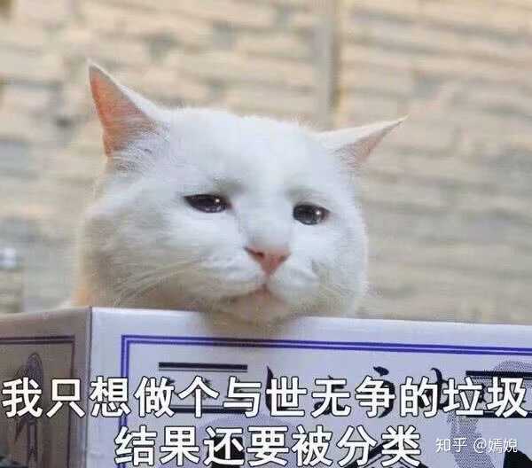 你后不后悔跟你前任在一起过?