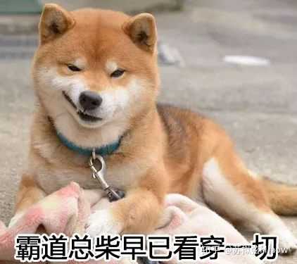 你的孕期前三个月是什么样子的 苏拟弦miaow 的回答 知乎