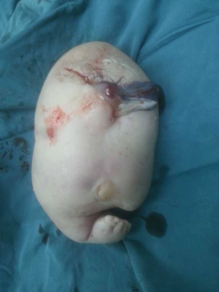 手机里你最不舍得删掉的一张照片是什么