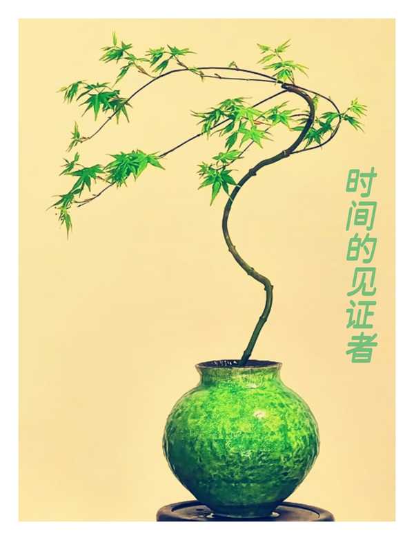 在你看来，坚持阅读这件事，真正「了不起」的地方在哪里？