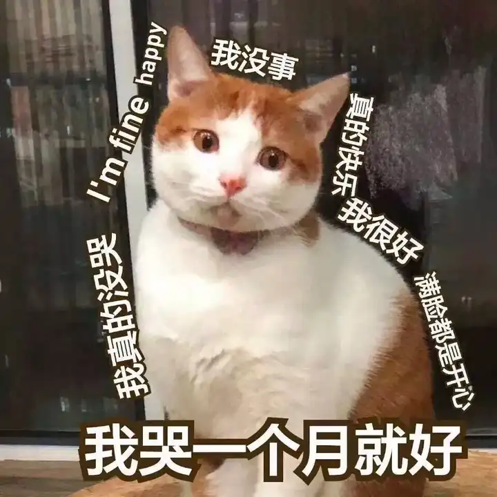 十二生肖为什么没有猫 知乎