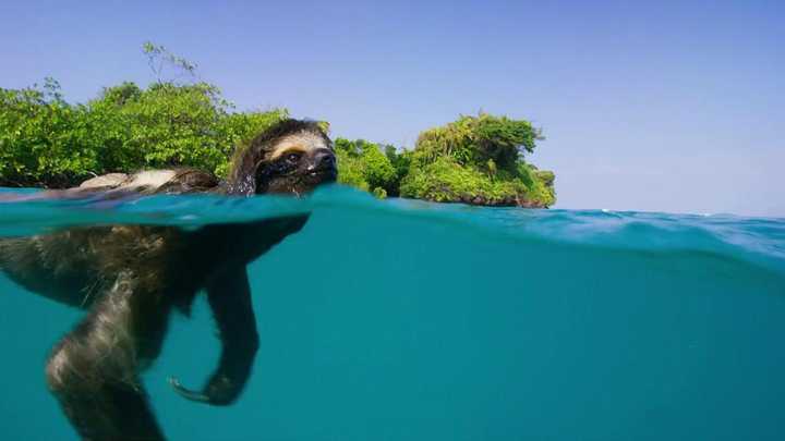 地球脉动第二季