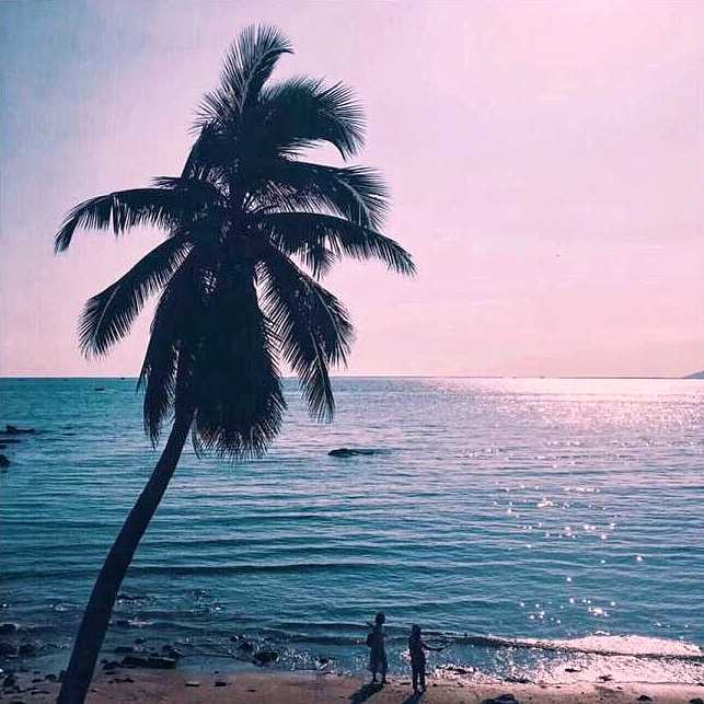 10k更新: 三亚海边,椰树与晚霞～ 树下的俩人真是点睛之笔啊