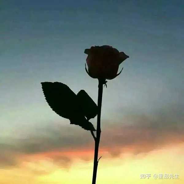 为什么很多厉害的人总将自己的成功归结为运气？