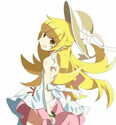 姬丝秀忒·雅赛劳拉莉昂·刃下心,又称忍野忍 铁血的热血的冷血的吸血