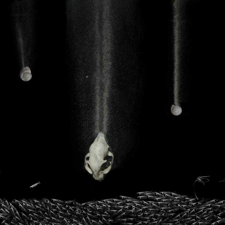 多的是对世界真实性的绝对怀疑，这组照片意识流的展现一些我想象的片段