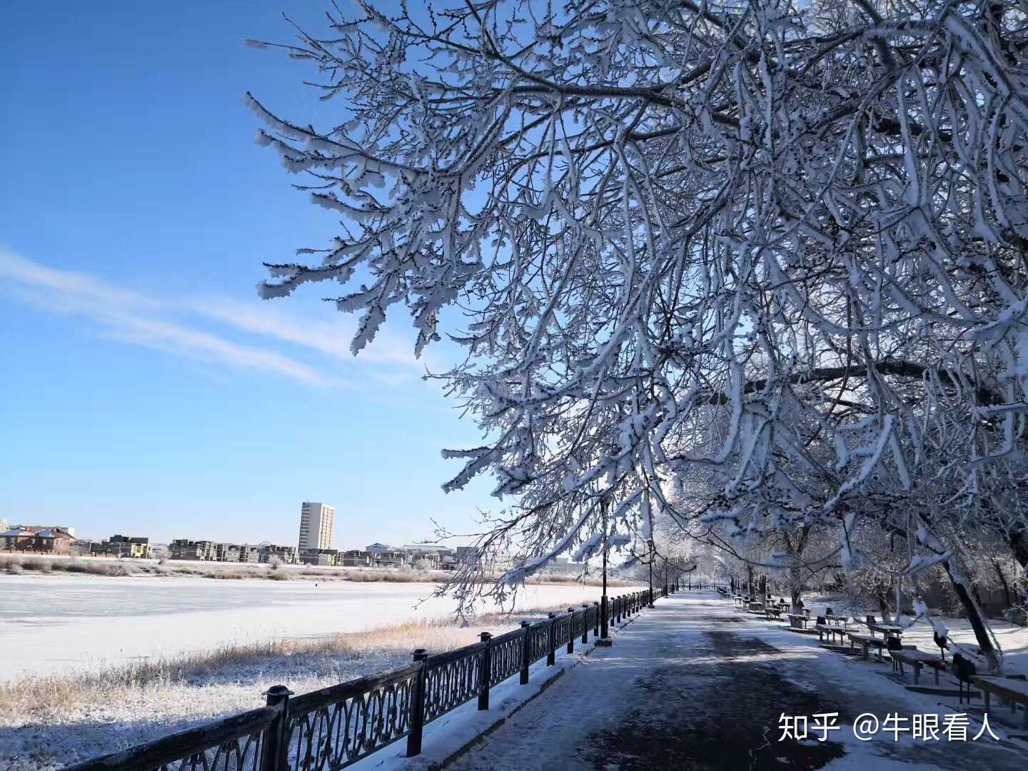 哈萨克斯坦阿特劳州冬季早上的雾凇,为乌拉尔河增添了别样的生机与