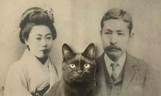 如何评价夏目漱石和他的小说 心 知乎