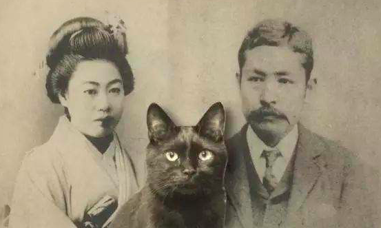 如何评价夏目漱石和他的小说 心 知乎 如何评价夏目漱石和他的小说 心 知乎