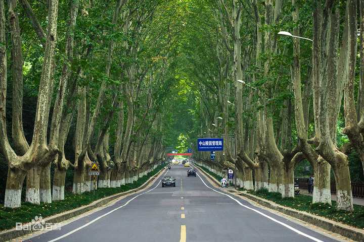 陵園路夏