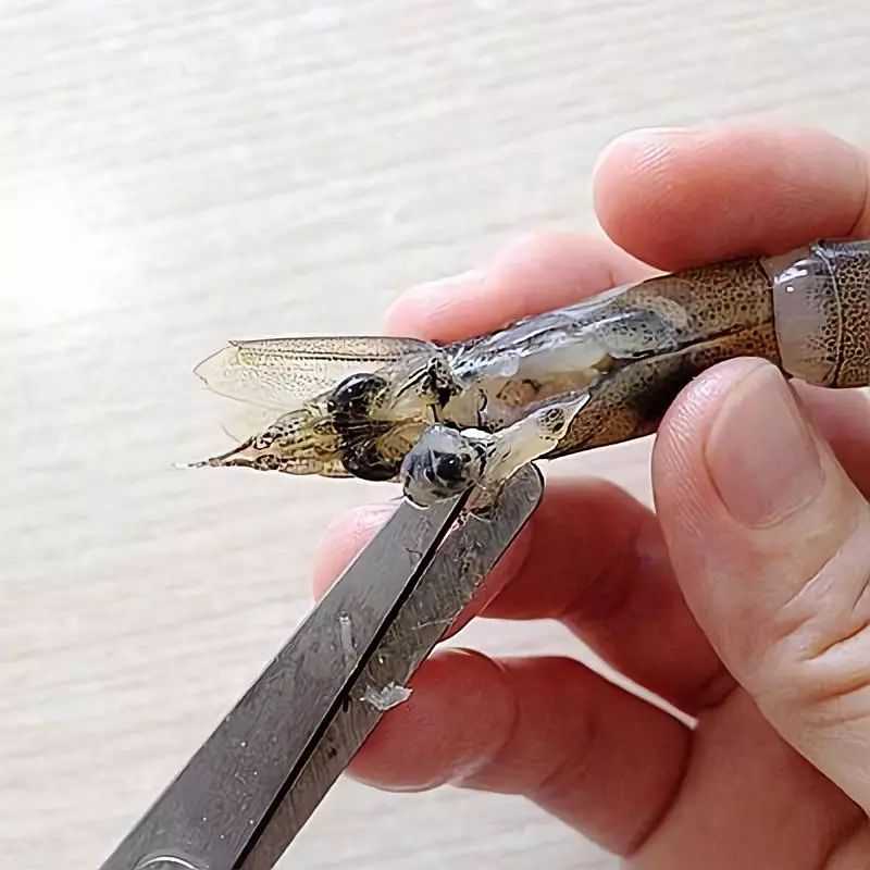 虾头部里面的是什么东西,可以吃吗?