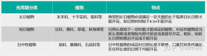 如何选购植物补光灯 Aimee 的回答 知乎 如何选购植物补光灯 Aimee 的回答 知乎