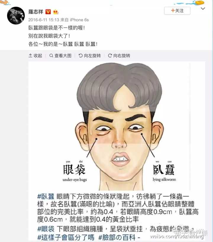 什么是 卧蚕 它跟眼袋有什么区别 知乎