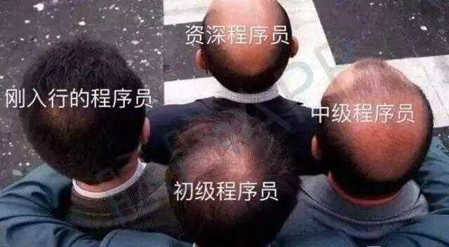 一个戴帽子,穿着格子衬衫,背着复古书包的程序员来面试,面试官一眼就