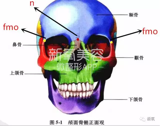 怎么理解 美人在骨不在皮 什么是骨相美 知乎