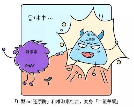 1、激素