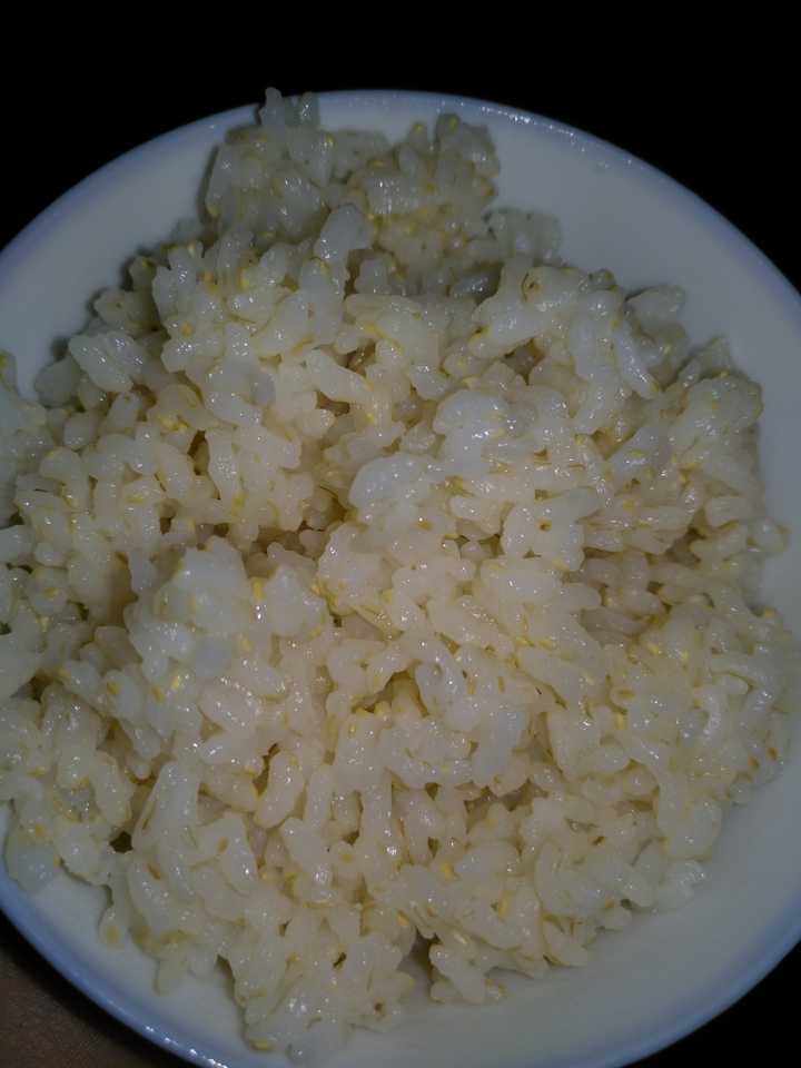 哪一种米煮饭最好吃 知乎 哪一种米煮饭最好吃 知乎