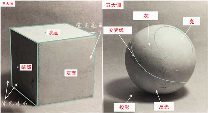 自学画画应该从什么开始学起?