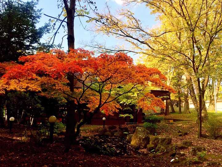 在北海道大學(hokkaido university)就讀是怎樣一番體驗?