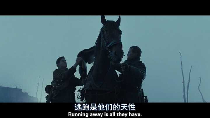 图片20查看更多简介影人:杰瑞米·艾文 / 芬德 / 彼得·穆兰 / 艾米丽