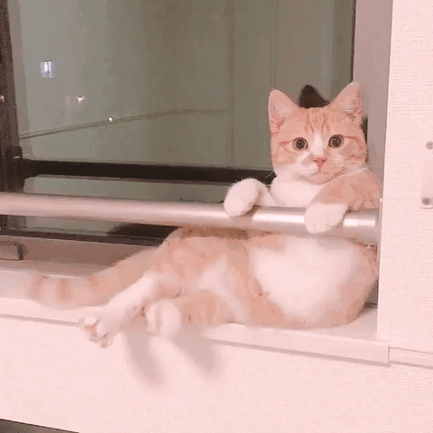 我的男朋友总觉得很没有安全感,我该怎么办?