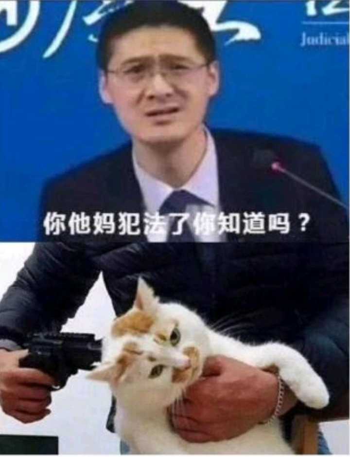 表情包梗图片