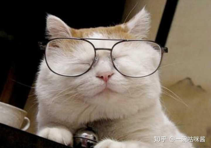日本网红猫咪猫叔去世,你有什么想对猫叔说的?
