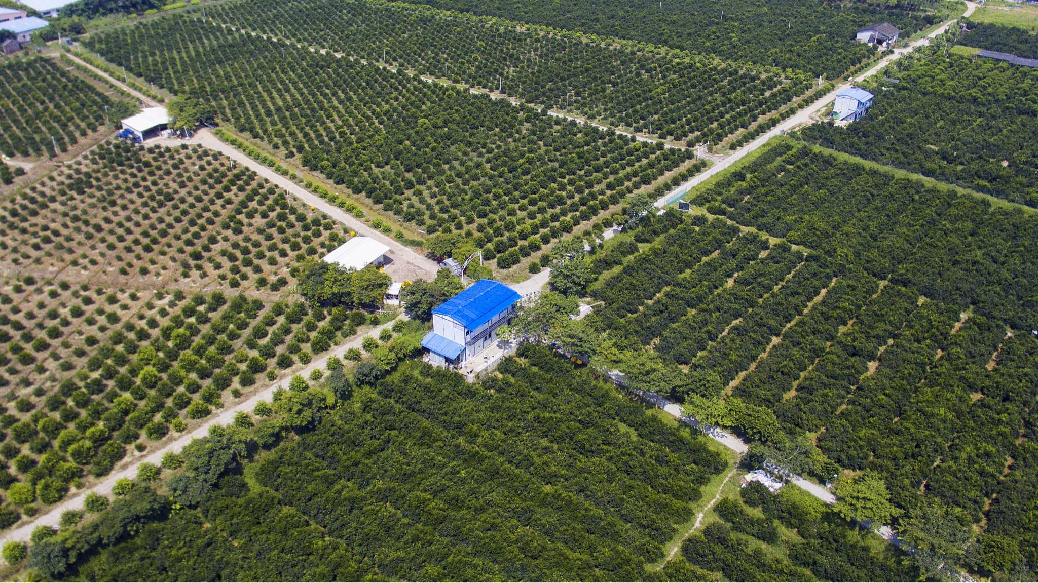 一方水土,养一方人.